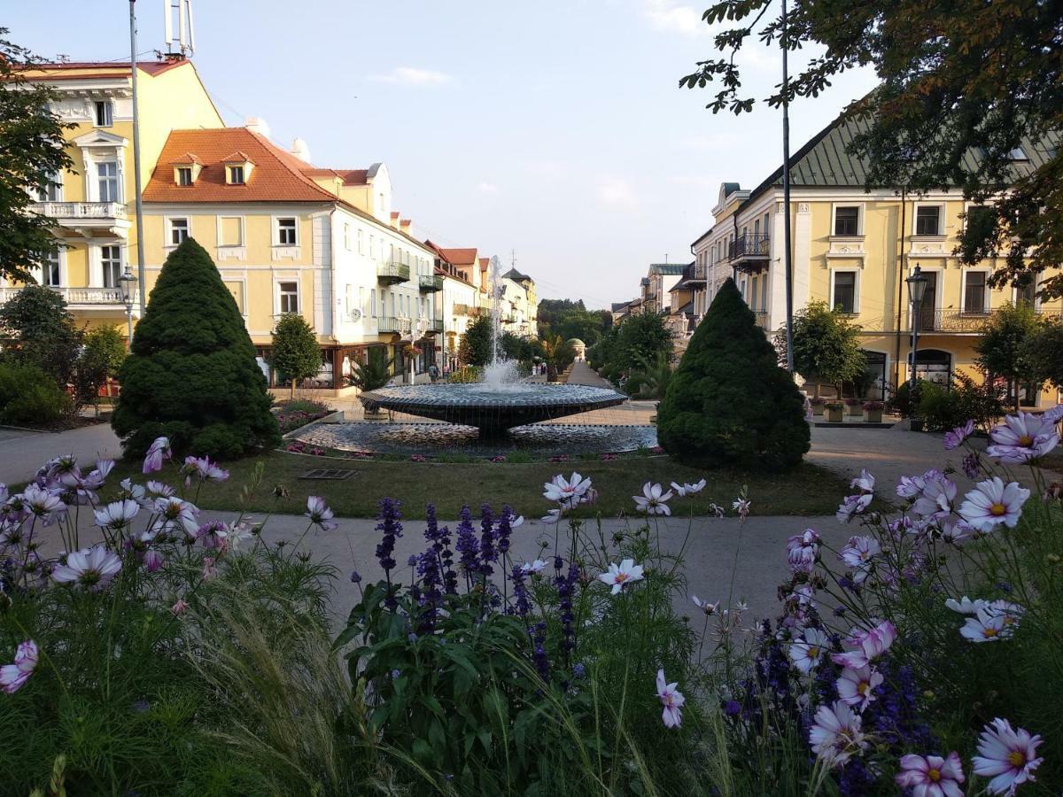 Apartments Česká Františkovy Lázně Exterior foto